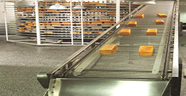 第四步：醒发——职业沉淀